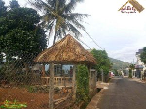 Thi công nhà lá dừa 2023 1