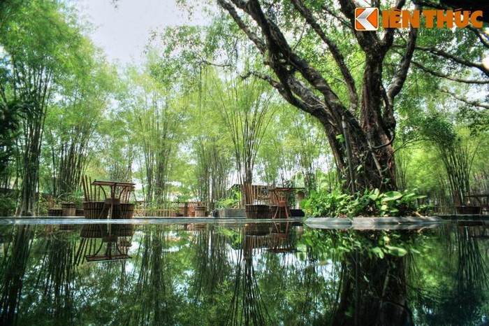 Quán café mái lá nổi tiếng thế giới ở Bình Dương 7