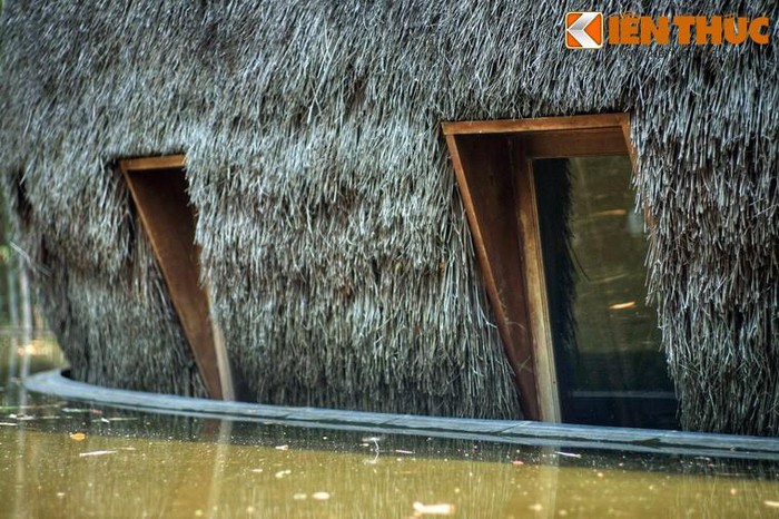 Quán café mái lá nổi tiếng thế giới ở Bình Dương 4