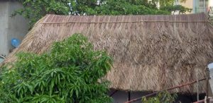 Khu Du Lịch Nhà Lá Tại Tiền Giang 8