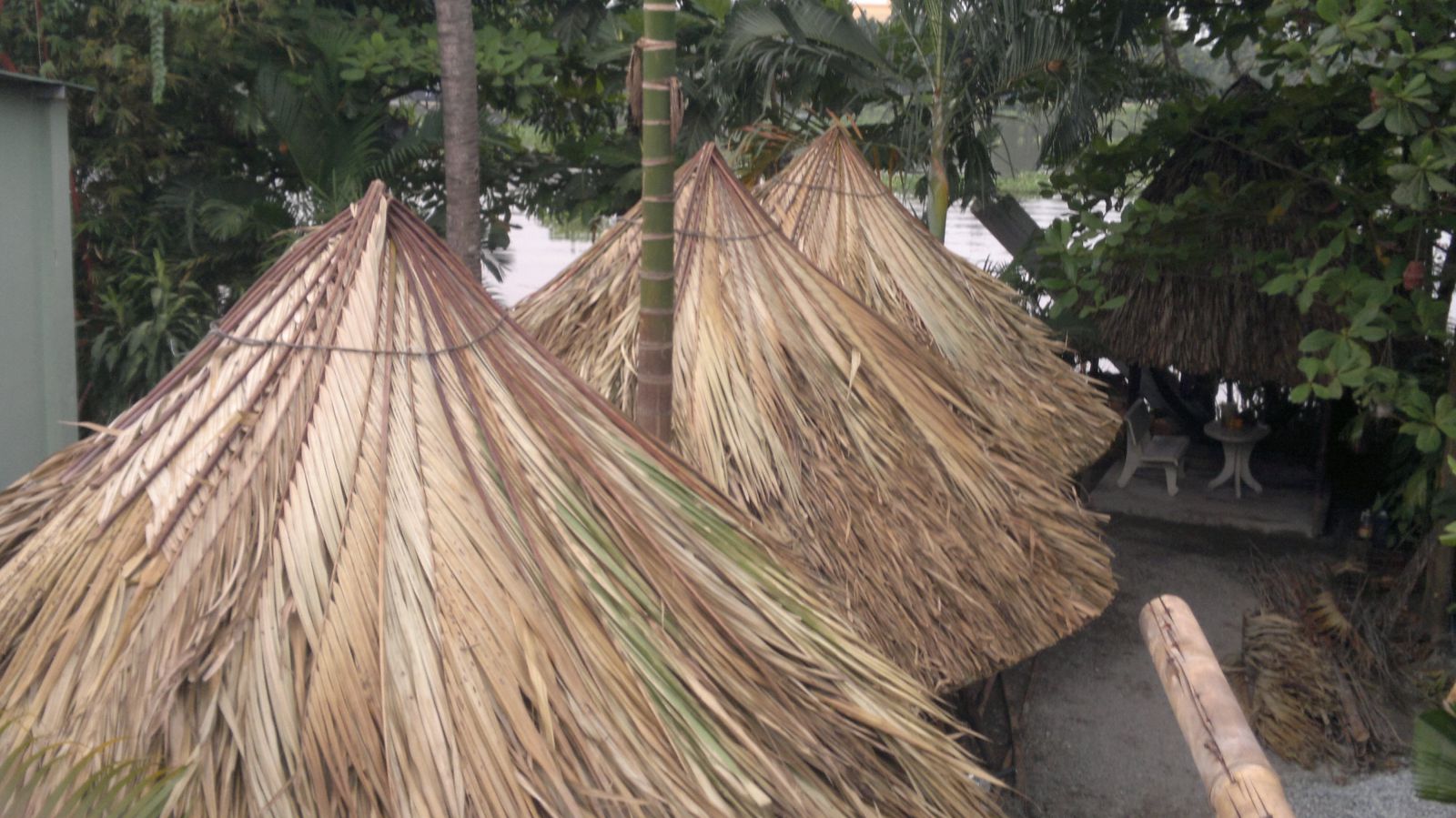 Lá Dừa Lợp Nhà 3 Lá Dừa Lợp Nhà 3
