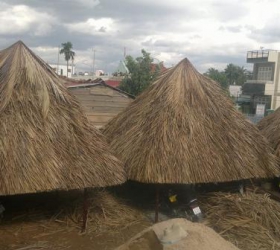 Lợp Lá Dừa Cho Quán Ăn Tại Cần Giờ 1