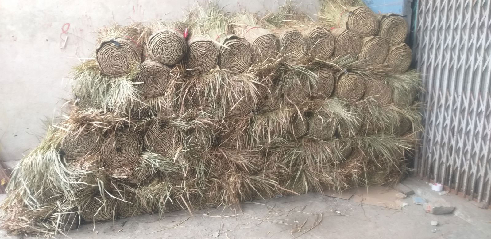 MÁI LÁ TRANH LỢP NHÀ TẠI TPHCM 1