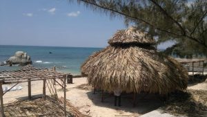 Resort mái lá thi công bởi Nhà Lá Tre Việt 2