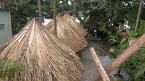 SỬA NHÀ MÁI LÁ GIÁ RẺ 3