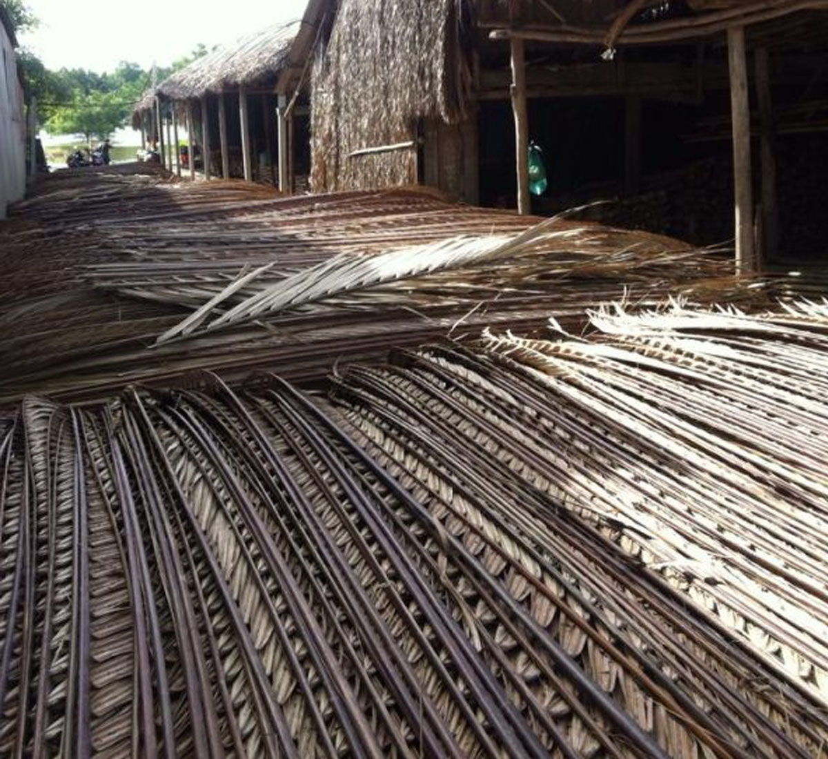 Tìm đại lý bán lá dừa nước 1 Tìm đại lý bán lá dừa nước 1