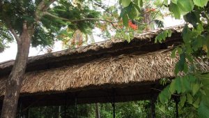 XÂY NHÀ MÁI LÁ GIÁ RẺ 7