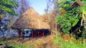 Thi công chòi lá dừa sân vườn 21