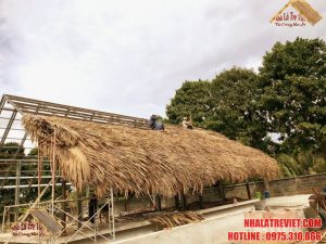 Tại sao nên chọn nhà mái lá dừa ? 16