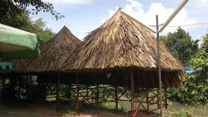 Thi công chòi lá dừa chuyên nghiệp 2023